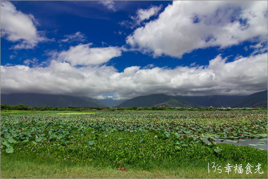 台東一日遊行程,台東,漂鳥197,台東景點,大坡池,漂鳥197縱谷大地藝術季,池上大坡池,池上旅遊,池上打卡景點,池上景點,池上一日遊,台東池上,池上釣魚的老人,縱谷大地藝術季2022,台東縣市,台東旅遊景點,縱谷大地藝術季 @13's幸福食光