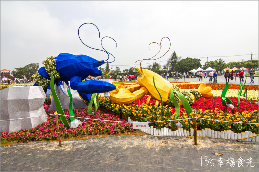 桃園賞花,2021桃園彩色海芋季,桃園彩色海芋季,桃園彩色海芋季地址,桃園海芋季地點,桃園彩色海芋季門票,桃園海芋季2021停車,桃園彩色海芋季時間,桃園旅遊景點,桃園彩色海芋季停車,桃園,溪海休閒農業區,桃園景點,桃園大園景點 @13's幸福食光