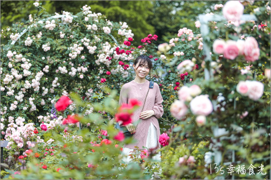 桃園賞花,雅聞玫瑰季,楊梅景點,桃園旅遊景點,雅聞,桃園,桃園雅聞,桃園親子景點,雅聞魅力博覽館,桃園一日遊,雅聞觀光工廠玫瑰季,桃園景點,楊梅一日遊,桃園觀光工廠,桃園拍照景點,雅聞觀光工廠 @13's幸福食光