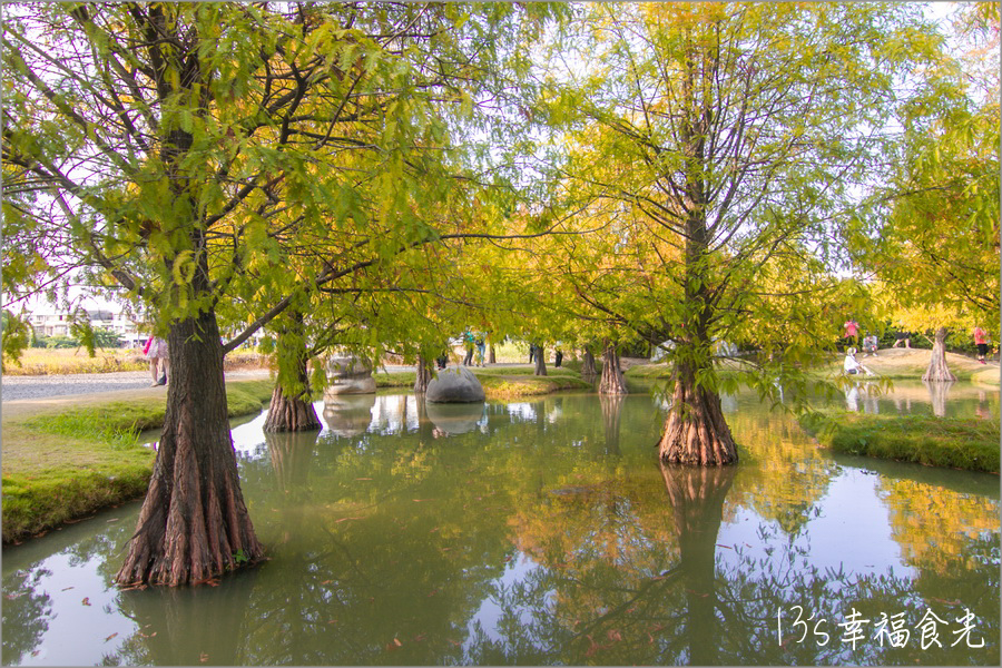 雲林旅遊景點,雲林,虎尾景點,雲林一日遊,雲林景點,落羽松景點,雲林免費景點,雲林落羽松,虎尾一日遊,虎尾,虎尾落羽松祕境,雲林落羽松祕境,虎尾落羽松,雲林虎尾落羽松,虎尾鐵橋落羽松,青埔落羽松,虎尾青埔落羽松 @13's幸福食光