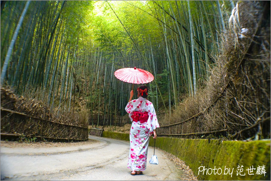 五元二角路況,雲林古坑景點,雲林嵐山景點,古坑,古坑一日遊,雲嶺之丘,雲嶺之丘五元二角,五元二角,雲林旅遊景點,雲林祕境,雲林,五元兩角,雲林一日遊,雲林五元二角,雲林景點,五元二角交通,古坑景點 @13's幸福食光