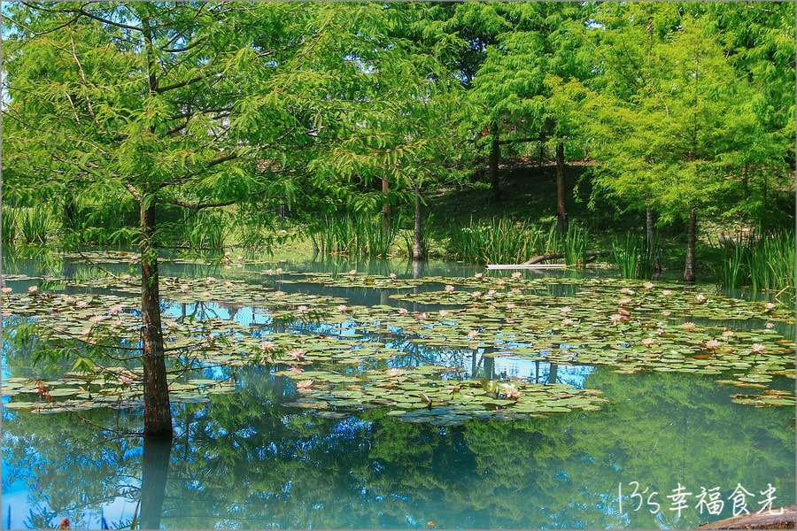 20250730-x03by
