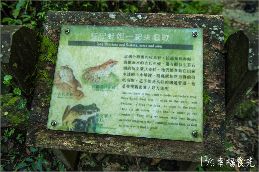 20250730-19wu0