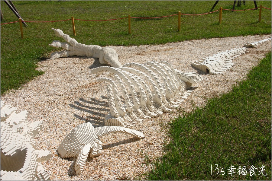 20250730-dv0r6 20250730-dv0r6