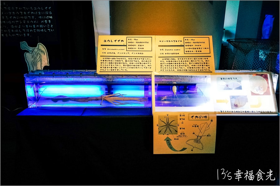20250730-sgdtt
