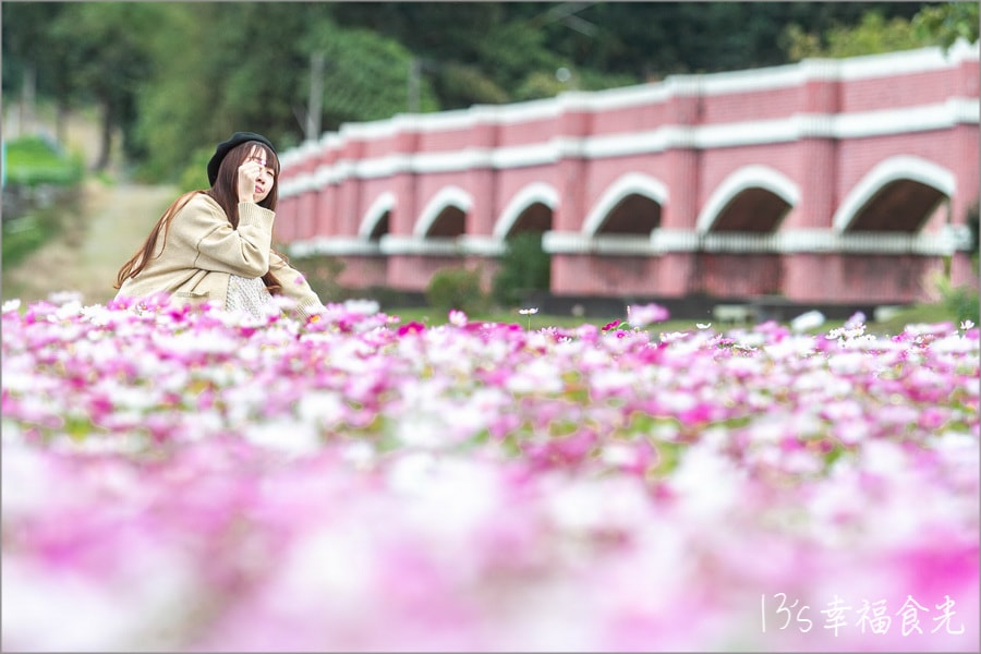 20250730-03ss7 20250730-03ss7