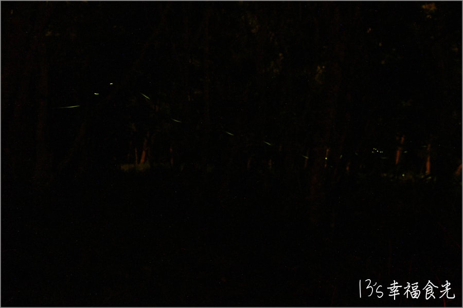 20250729-fzp6l