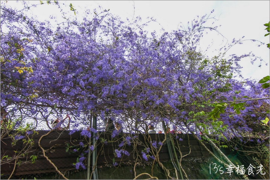20250730-9uzru
