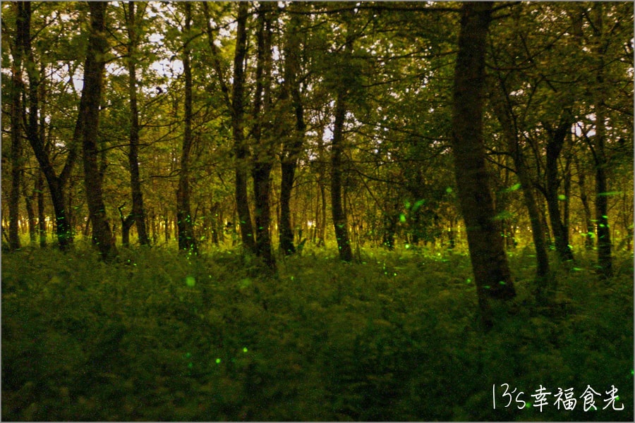 20250730-px6yd