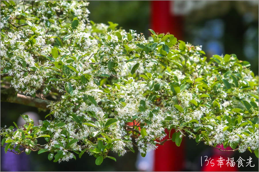 20250730-xf1oy