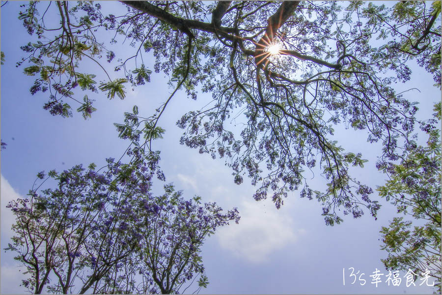 20250730-5oai9