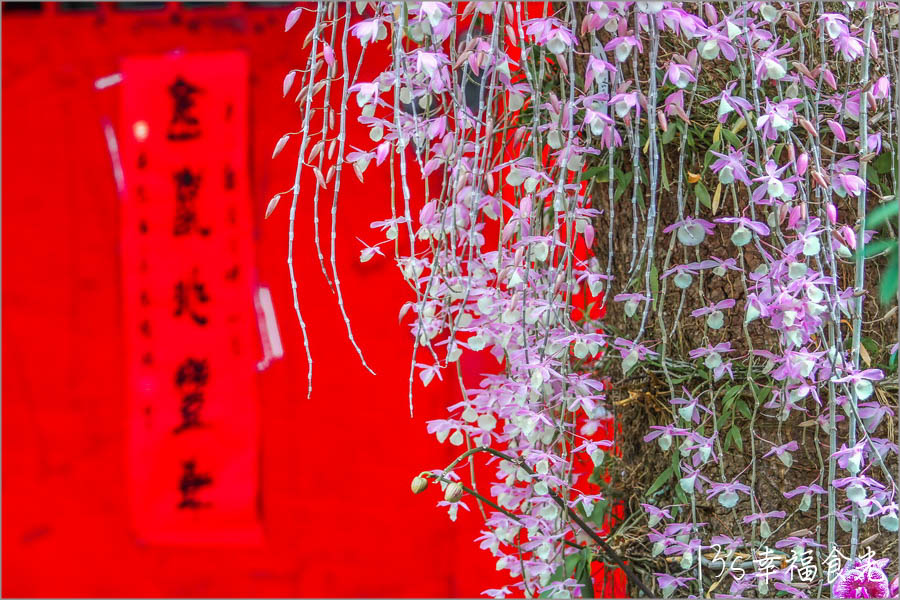 20250730-8sk69