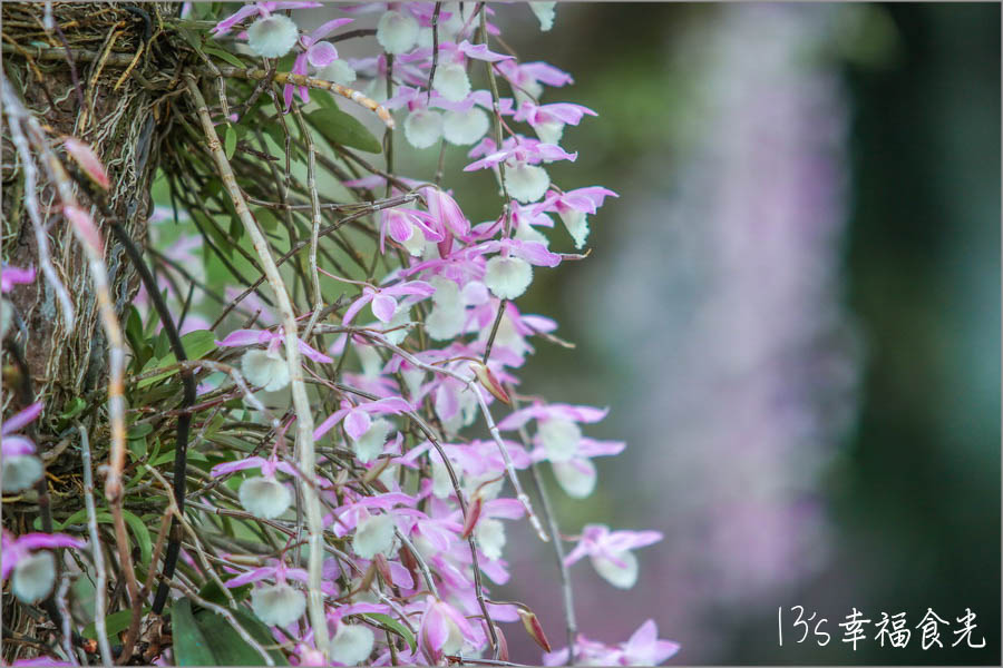 20250730-c4df5 20250730-c4df5