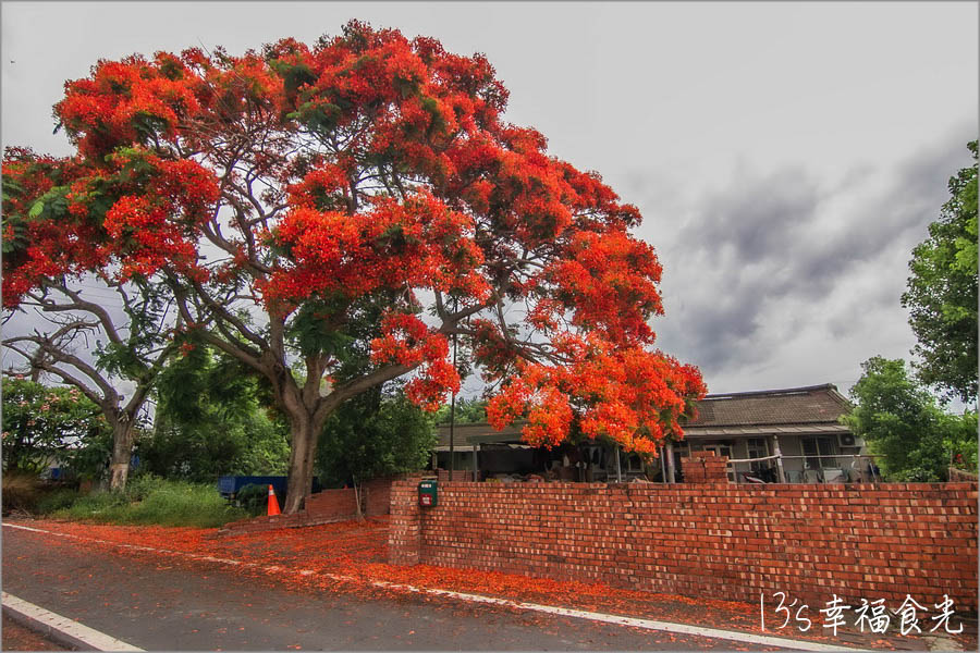 20250730-ngej4