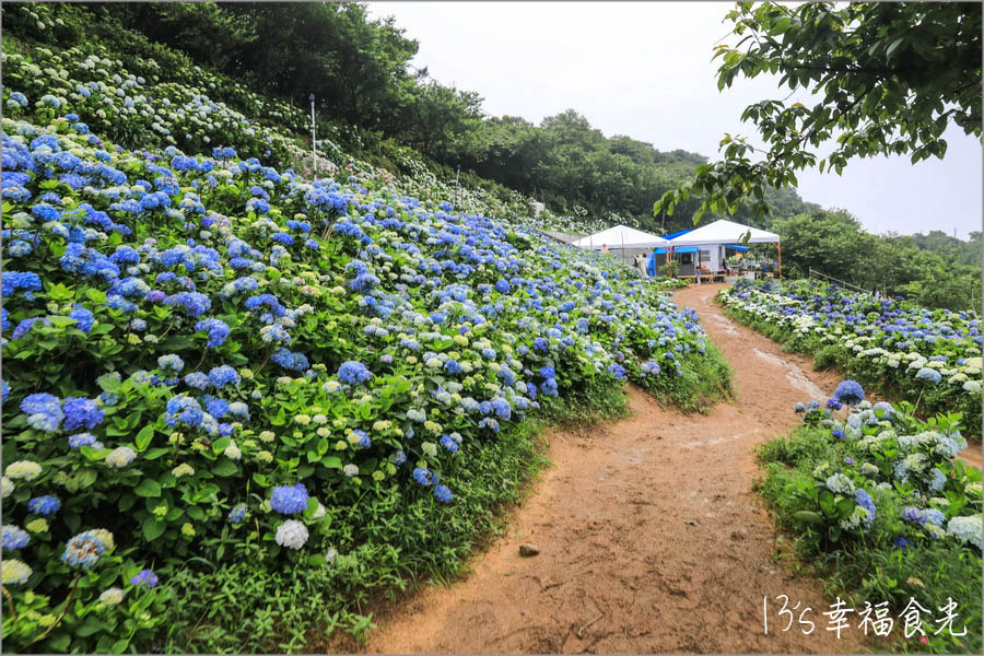 20250730-pi6xf