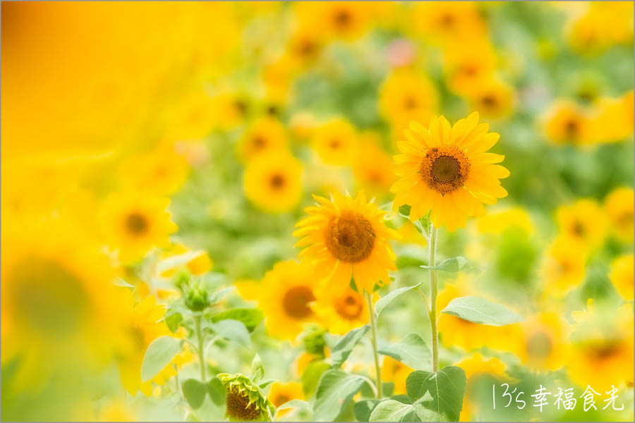 20250730-2px5s 20250730-2px5s