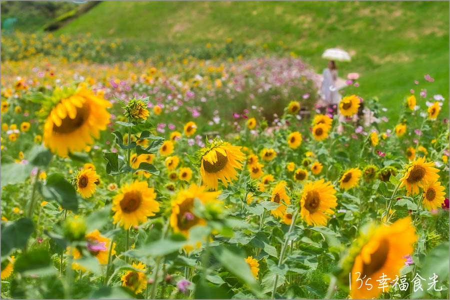 20250730-8t0sb 20250730-8t0sb
