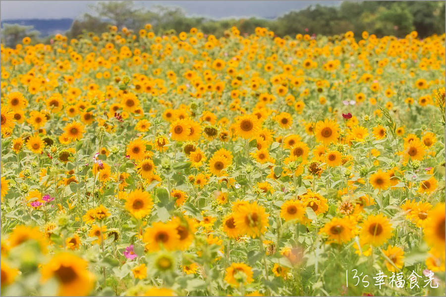 20250730-em45r 20250730-em45r