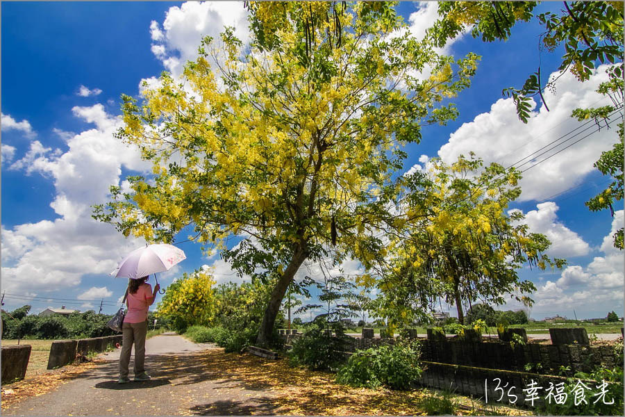 20250730-f9ig6