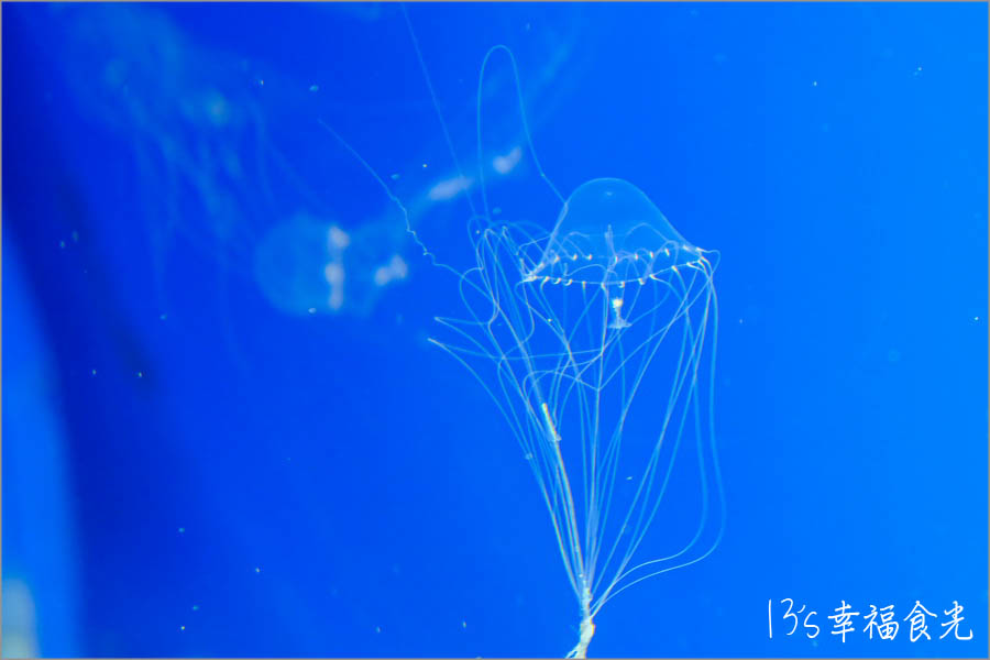 20250730-jof6i