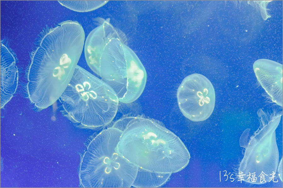 20250730-rnkmm