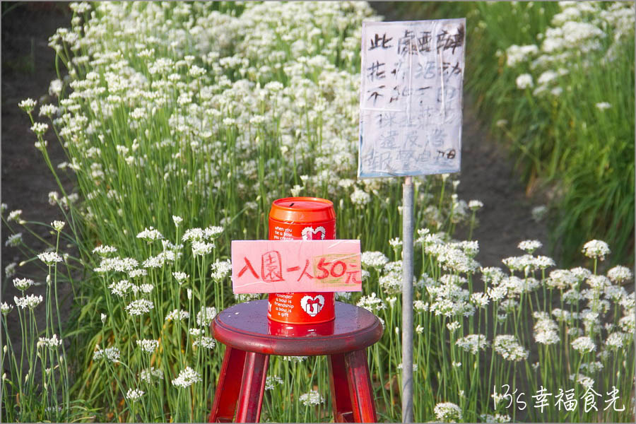 20250730-ca7ks