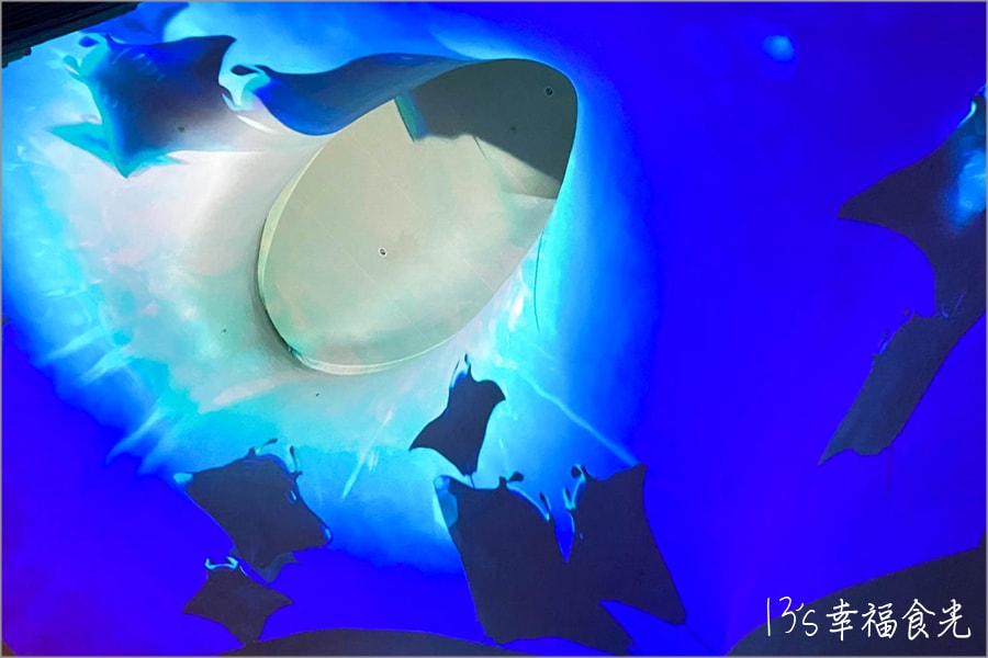 20250730-gh99a