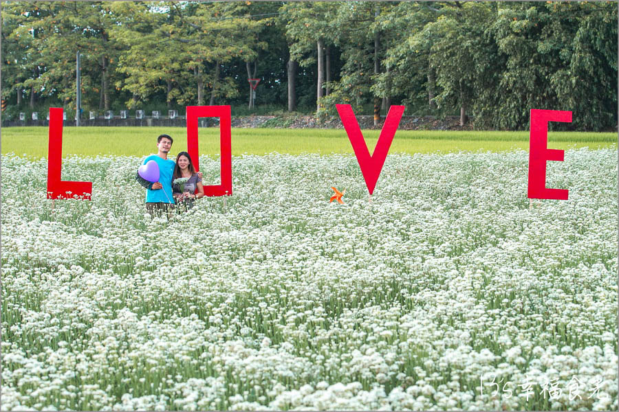 20250730-s2dx2 20250730-s2dx2