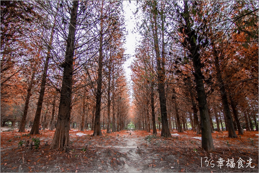 20250730-unl57