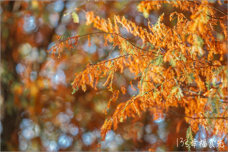 20250730-uow6j