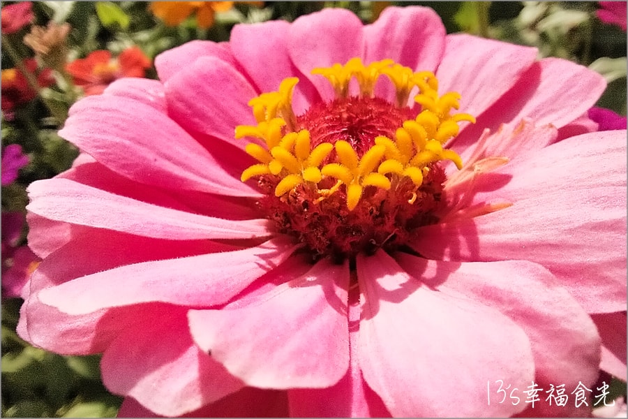 20250730-0co0z 20250730-0co0z