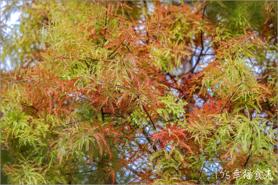 20250730-j8dp5 20250730-j8dp5