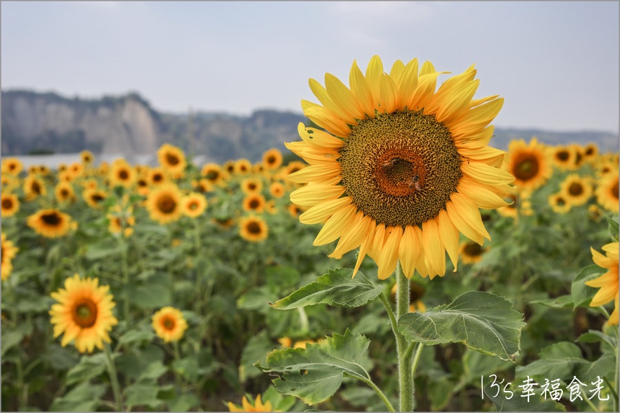 20250730-l4lm4