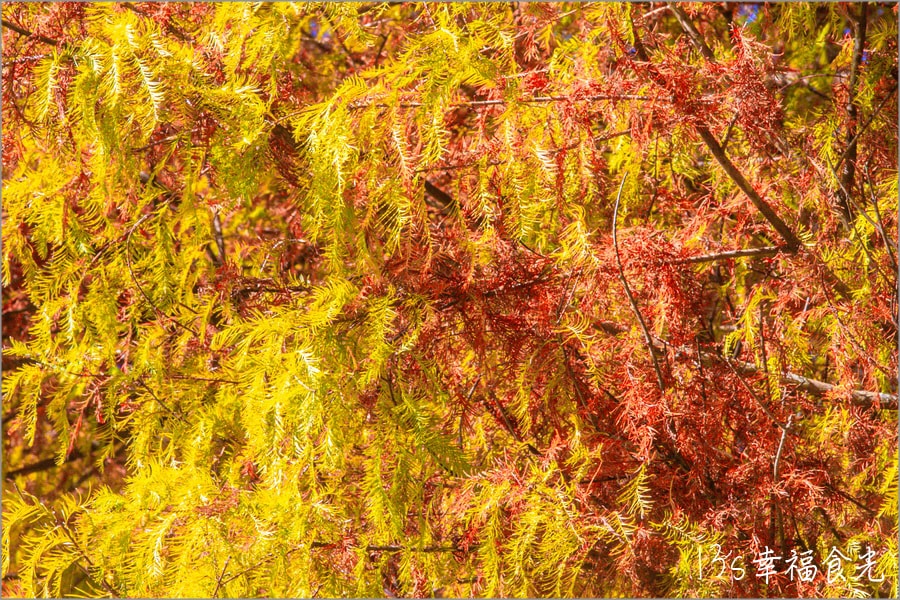 20250730-meg56