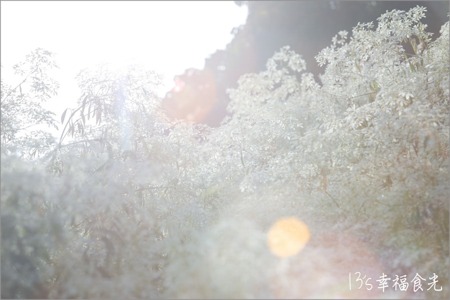 20250730-tgws2