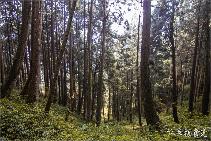20250730-tthus