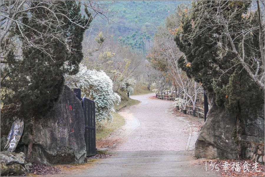 20250730-uyale