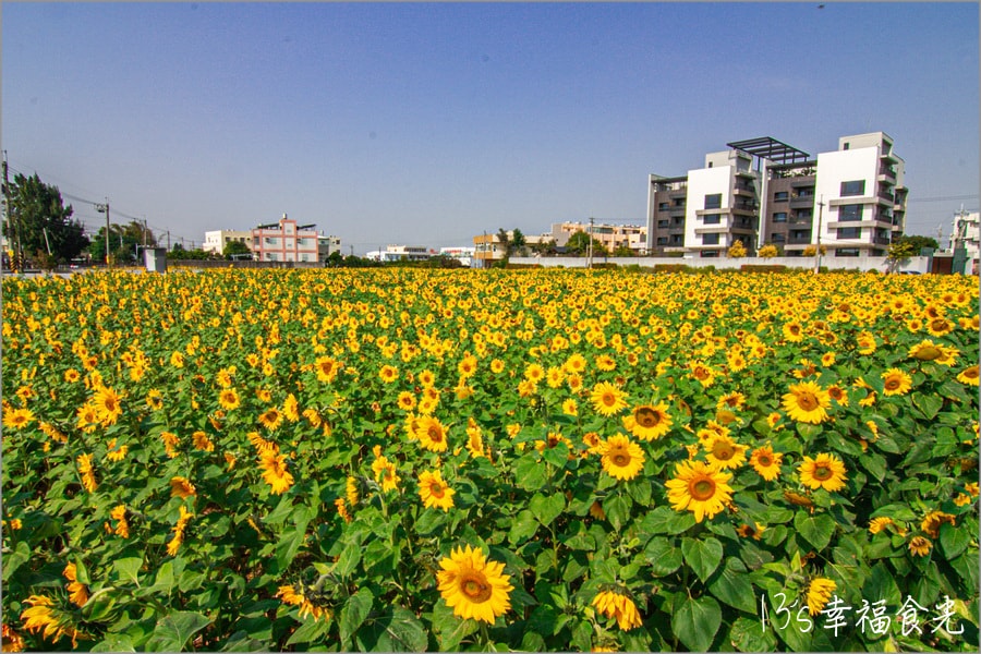 20250730-cg8bg