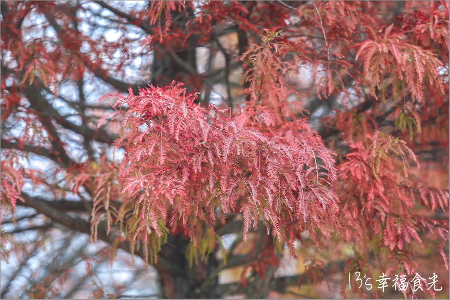20250730-f5xuc