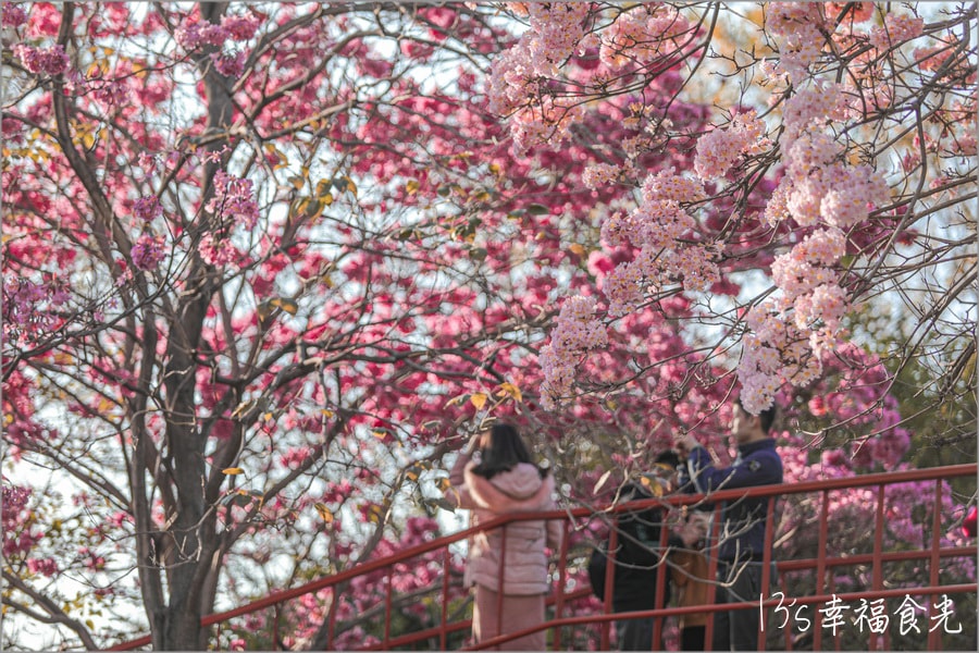 20250730-n05su 20250730-n05su
