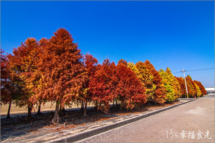 20250730-pu5xt