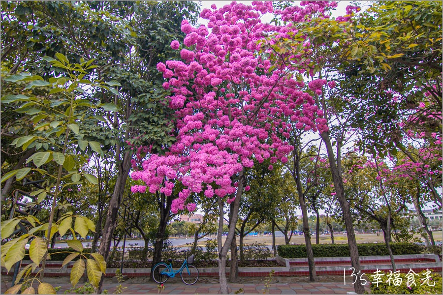 20250730-wb631 20250730-wb631