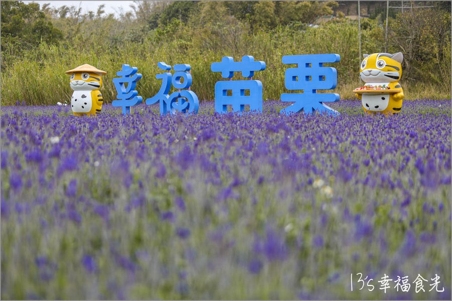 20250730-4nk7v 20250730-4nk7v
