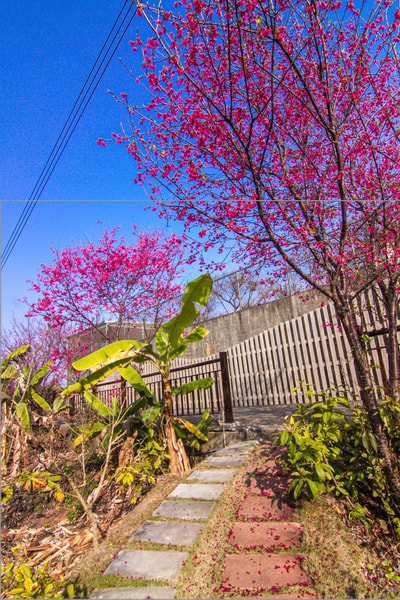 20250730-jo97t 20250730-jo97t