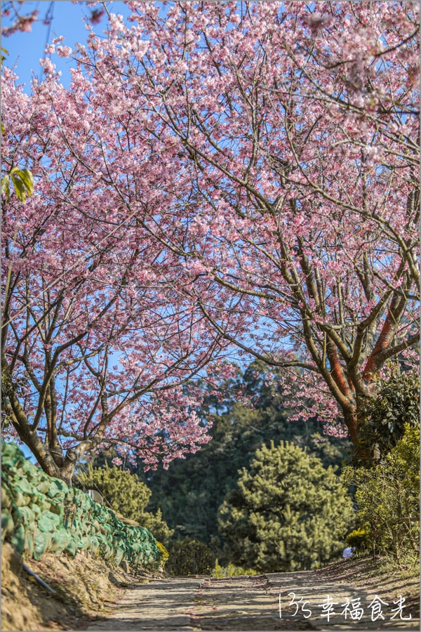 20250730-ul7a9 20250730-ul7a9