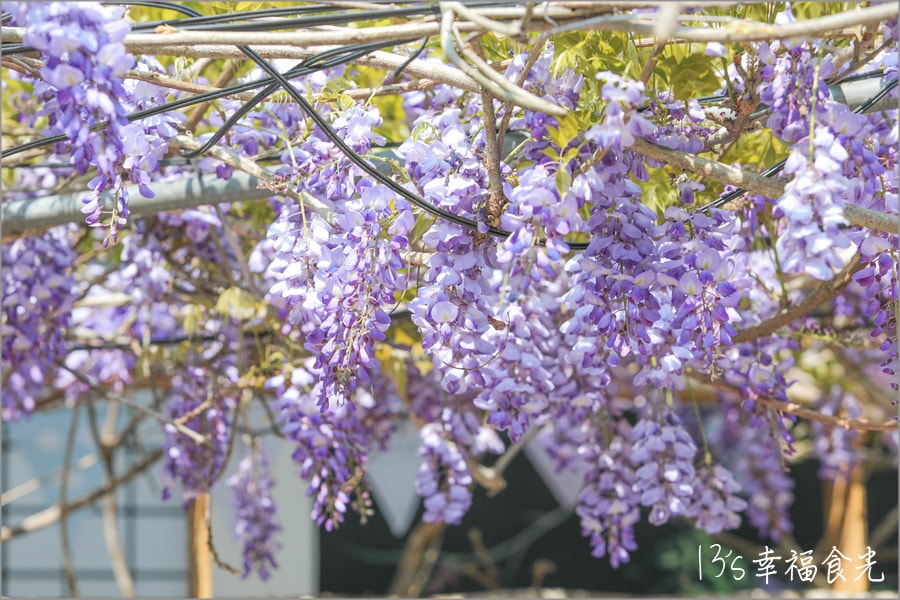 20250730-s61hu 20250730-s61hu
