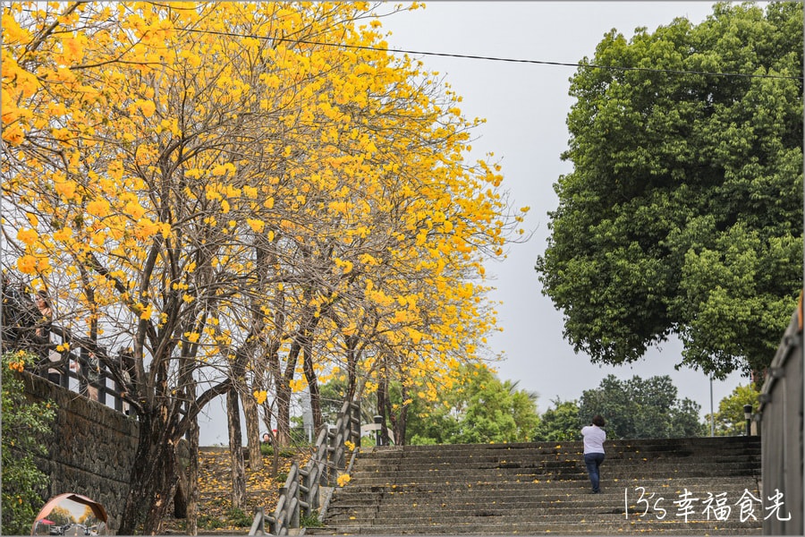 20250730-uxvf1