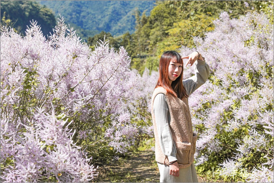 20250730-z9x1a 20250730-z9x1a