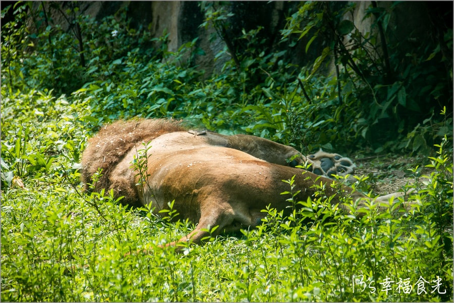 20250730-uxhoi