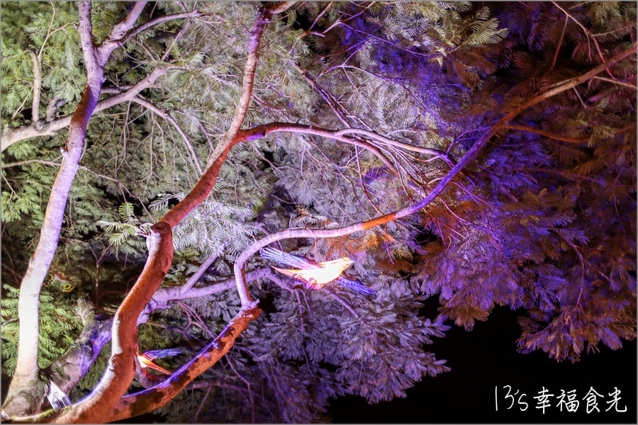 20250730-g43ra